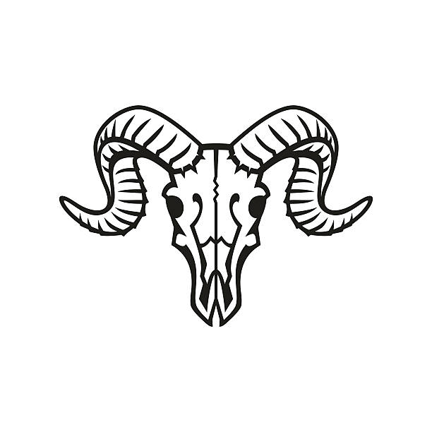 illustrations, cliparts, dessins animés et icônes de ram motif crâne - goat skull
