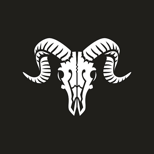 ram スカル - ram bighorn sheep animal head animal themes点のイラスト素材／クリップアート素材／マンガ素材／アイコン素材