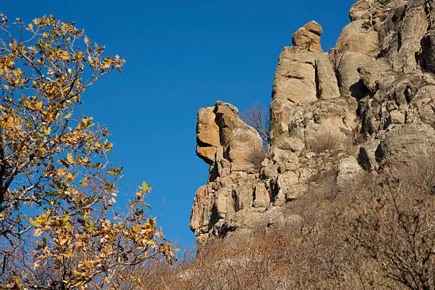 Ghosts valley (Crimea Mountains) with yellow tree in foreground. Left rock is named  queen Ekaterina. Bizarre form rocks is situated against blue sky background.