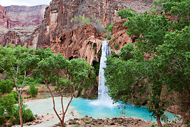 Havasupai Waterfalls The blue-green waters of Havasu Creek in Grand Canyon, Arizona havasu creek stock pictures, royalty-free photos & images