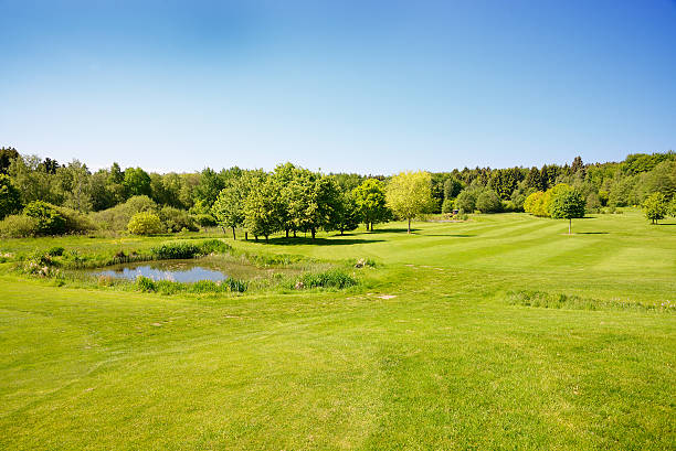 istock Small blue lake in lush green meadow 492199671