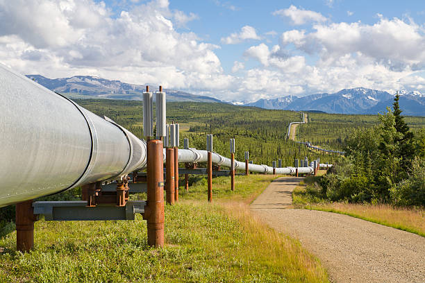istock Trans Alaskan Oil Pipeline, Alaska 492200049