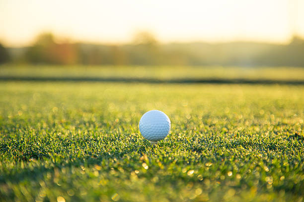 istock Close-up of golf ball. 492200110