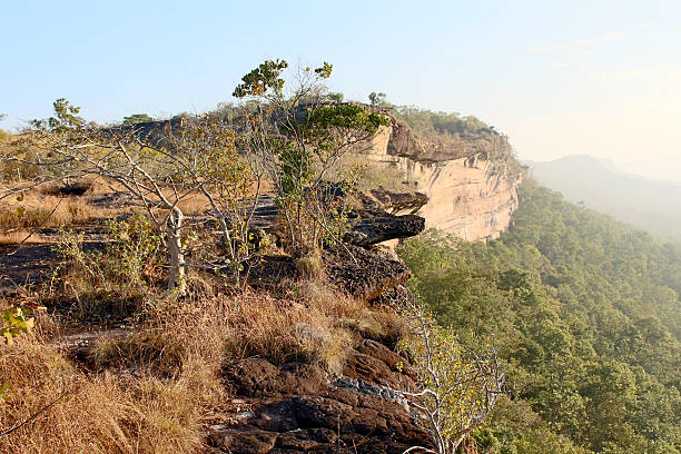 istock View lanscape of Pha Taem National Park 492200881