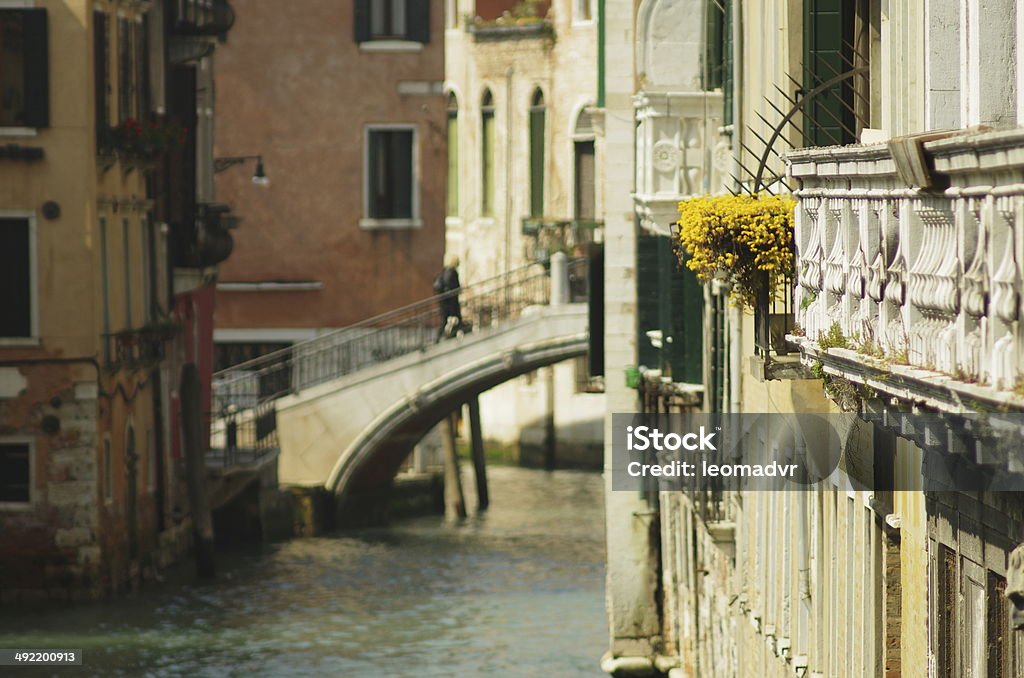 Flowers in Venice Flowers in the window in Venice Architecture Stock Photo