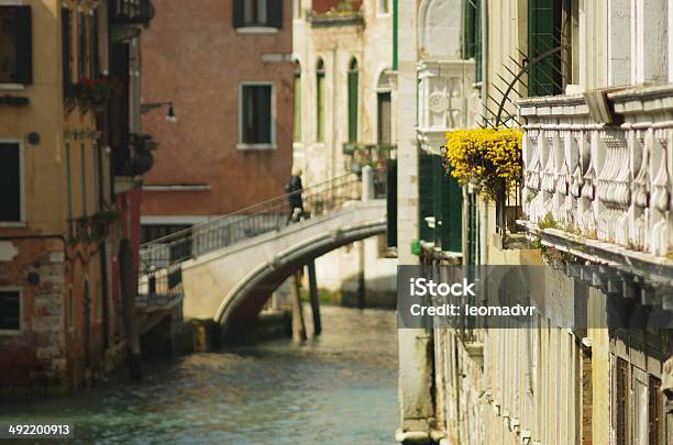 Flowers In Venice Stock Photo - Download Image Now - Architecture, Beautiful People, Beauty