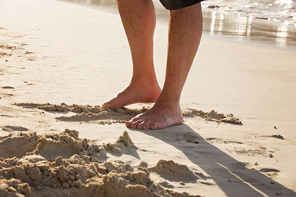 zehen in den sand - human foot wading sea human toe stock-fotos und bilder