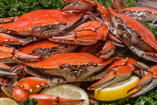 istock Steamed Blue Crabs on a wooden table 492202045
