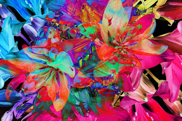 istock Set of fresh abstract lilly. Summer flowers 492202333