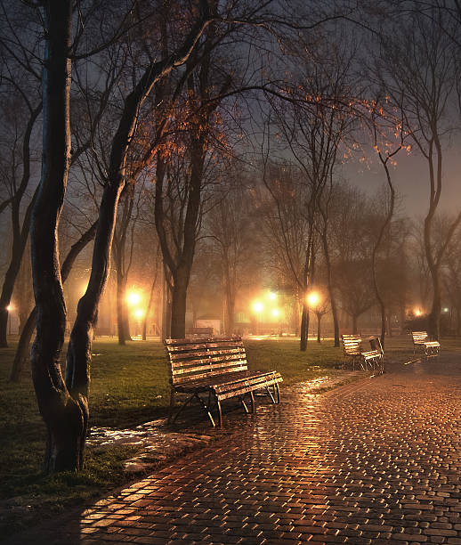 istock Morning in a city park 492202747