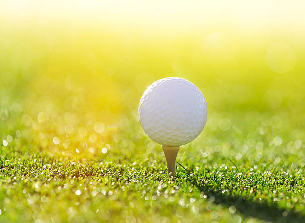 istock Close-up of golf ball. 492217460