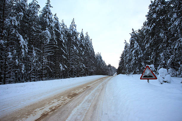 istock Rural winter road in the forest 492218508