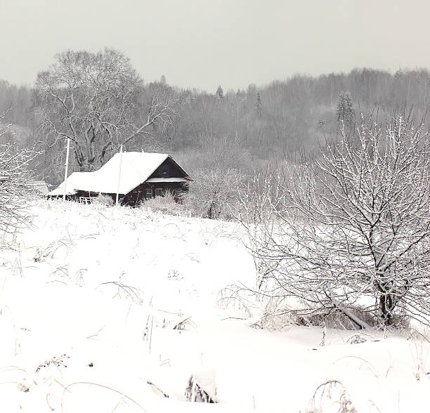 istock Rural house under the snow 492218560