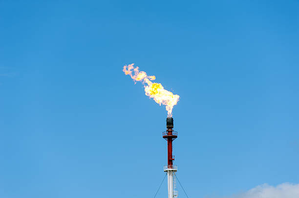 raffineria di gas torcia di fuoco. - oil industry oil rig fuel and power generation tower foto e immagini stock