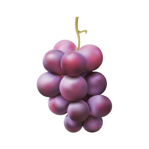 istock Fresh bunch of grapes purple 492221298