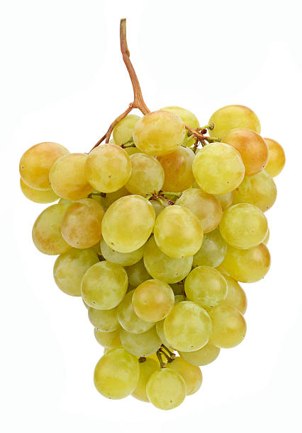 istock bunch of grapes 492221800