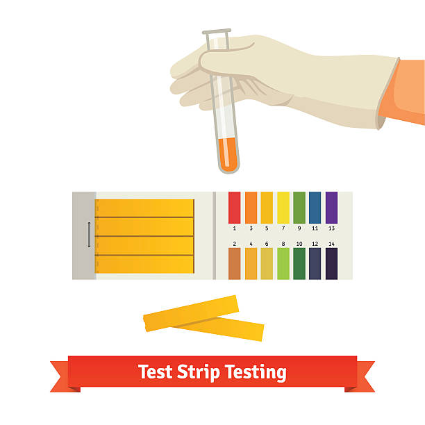 ilustrações, clipart, desenhos animados e ícones de mão segurando proveta com indicador de ph - litmus test