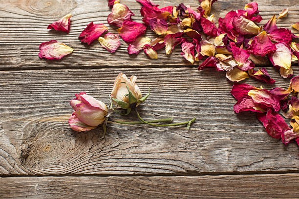 istock dried rose petals on wooden table 492223896