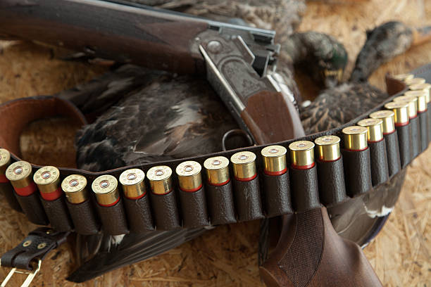 arma de caça, morta, pato e munições - dead animal imagens e fotografias de stock