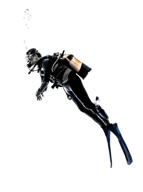 istock man scuba diver diving silhouette isolated 492226646