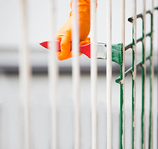 istock Painting with a paint brush 492228492