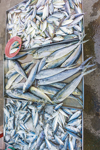 istock Fresh sea fish in local market 492230254