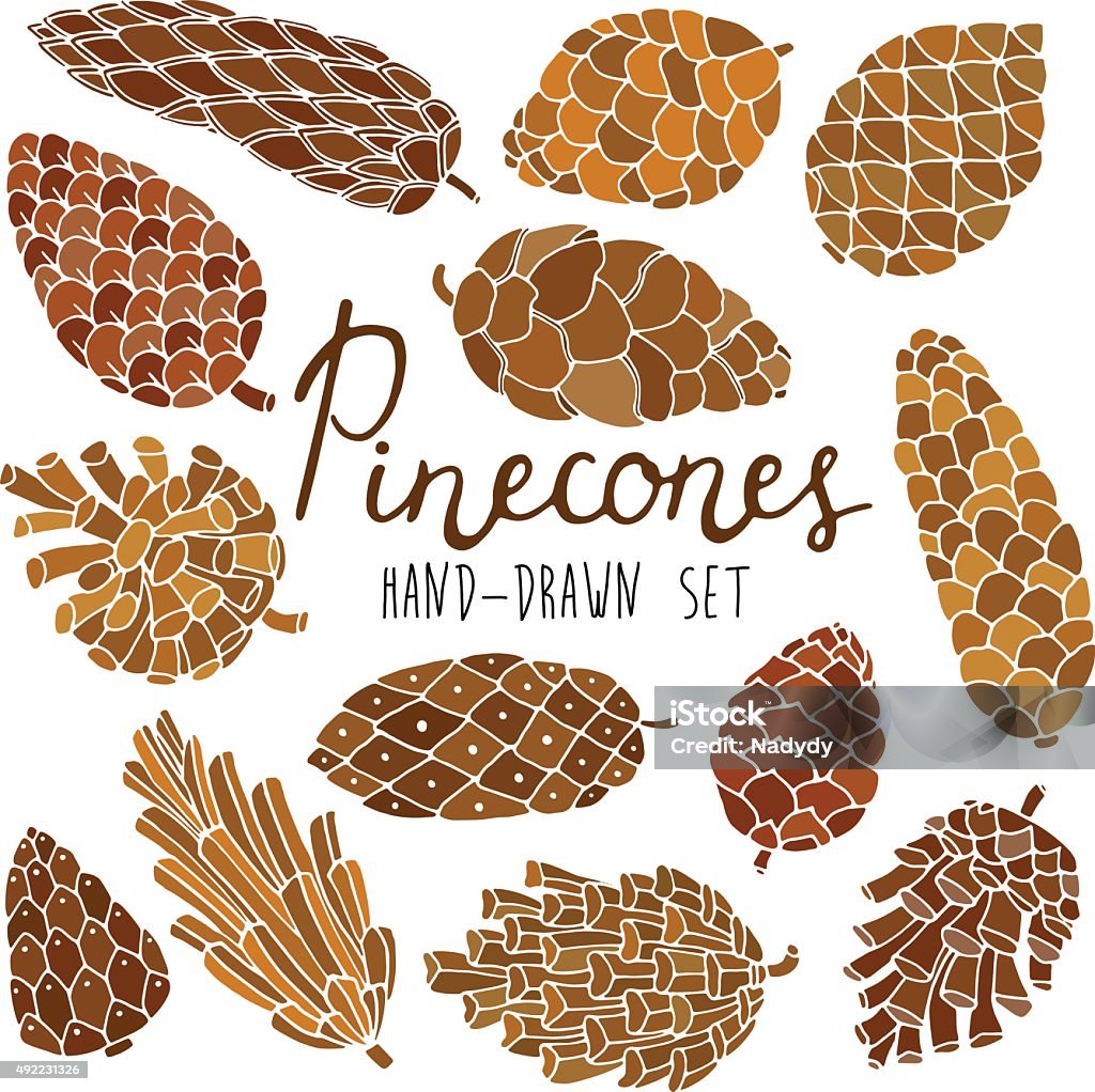 Conos de pino - arte vectorial de Piña de piñones libre de derechos