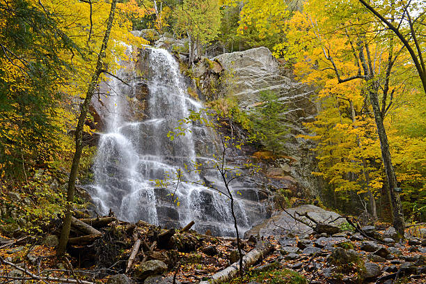istock Waterfall with Autumn foliage, Adirondacks, New York 492231962