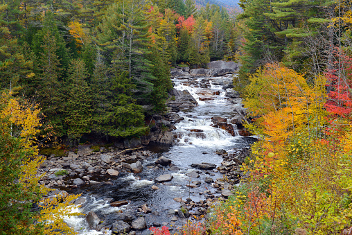 Waterfall with Autumn foliage, Adirondacks, New York