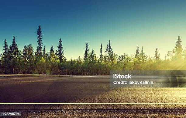 Asphalt Road In Forest Stock Photo - Download Image Now - Side View, Road, Forest