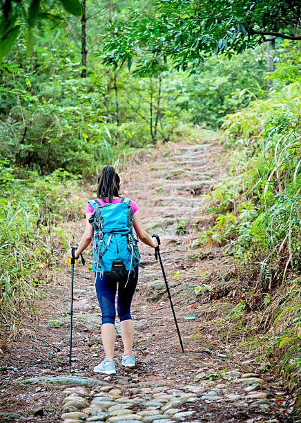 istock Young female hiker with backpack in the woods 492249356