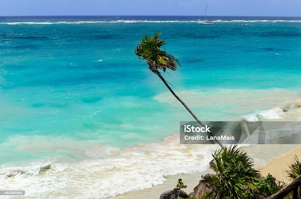 The palm tree bent over blue sea on beach, Mexico The palm tree bent over the blue sea on the beach of Cancun, Mexico, Yucatan 2015 Stock Photo
