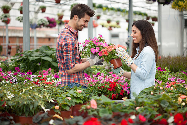 istock Young smiling people florists working in the garden 492251046