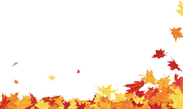 Autumn  Frame vector art illustration