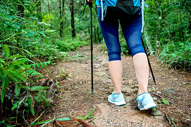 istock Woman legs hiking in the forest 492254172