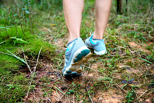 istock Woman legs hiking in the forest 492254766