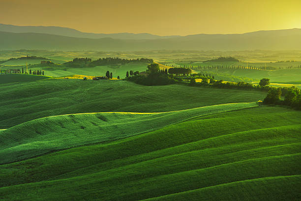 istock Tuscany spring, rolling hills on misty sunset. Rural landscape. 492255426