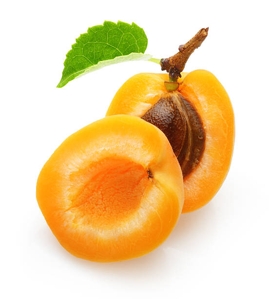 aprikosen früchte mit blatt isoliert - aprikose stock-fotos und bilder