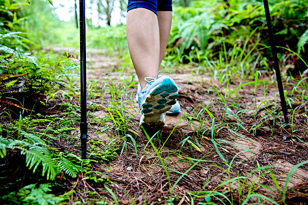 istock Woman legs hiking in the forest 492256178