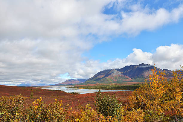 istock Susitna River and mountain alone Denali Hwy 492258750