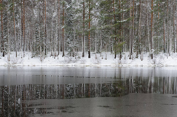 istock Lake after first frost. 492259264