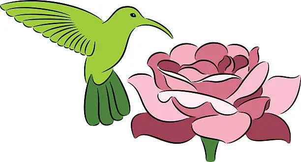 Vector illustration of Hummingbird and rose