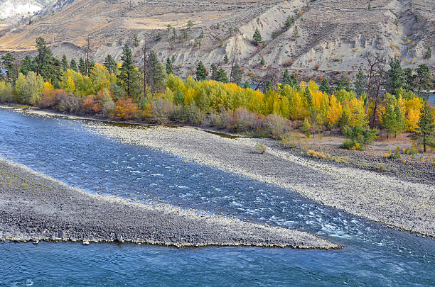 istock Thomson River in British Columbia, Canada 492260246