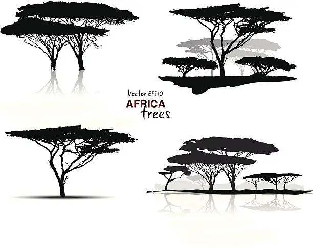 Vector illustration of Silhouette of africa trees