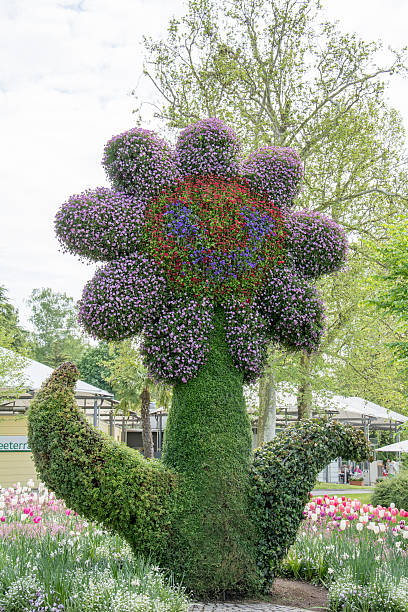 istock Happy flower sculpture in Mainau 492260977