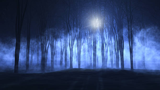 istock 3D foggy spooky forest 492261484