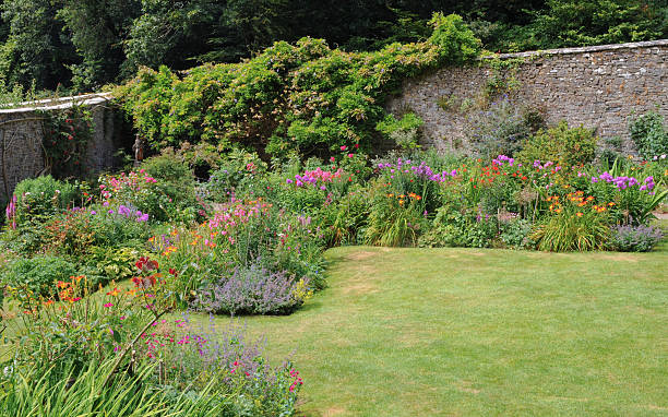 istock Walled Garden in Summer Hartland, Devon, England, UK 492261732