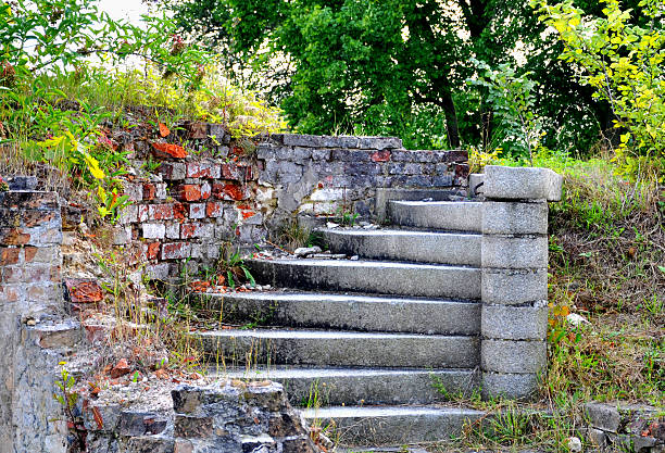 istock Ruin of a stone staircase in nature 492261855