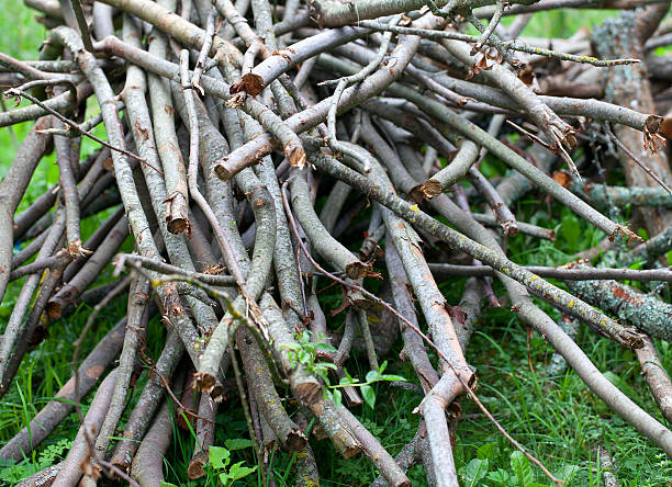 istock heap of wood on grass 492262667