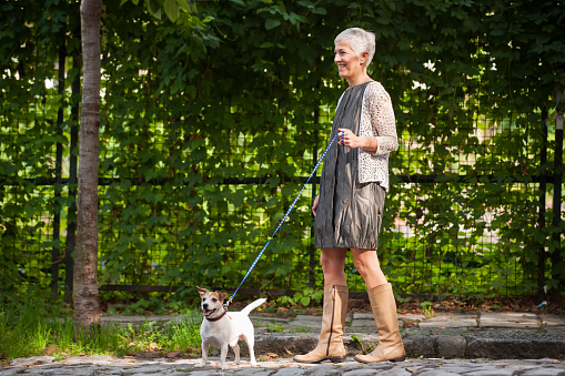 Beautiful mature woman walking with dog, leaves behind them